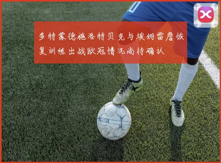 多特蒙德施洛特贝克与埃姆雷詹恢复训练出战欧冠情况尚待确认