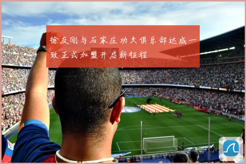 徐友刚与石家庄功夫俱乐部达成一致正式加盟开启新征程